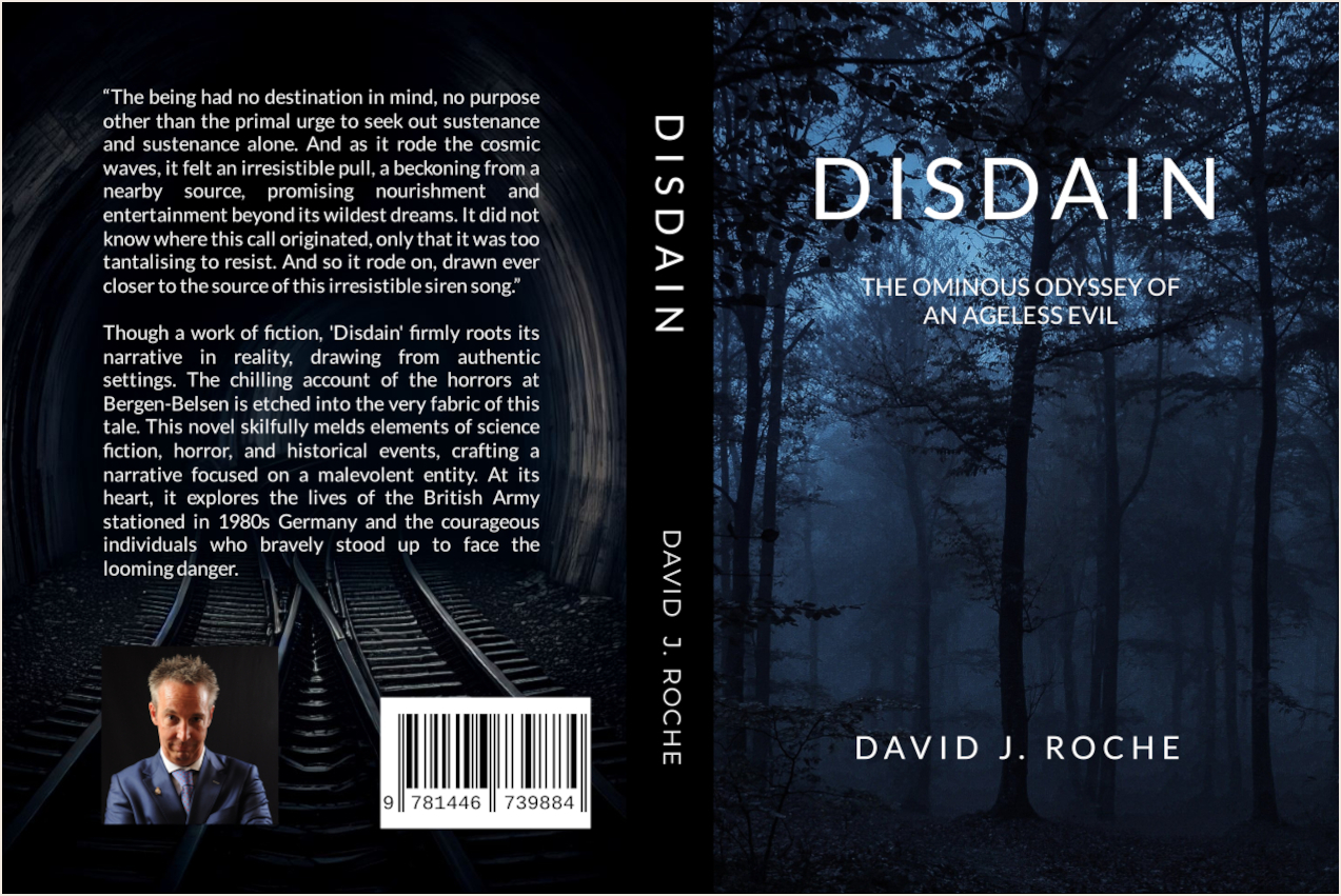 Disdain by David Roche